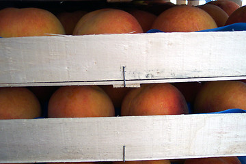 Image showing cases of peaches