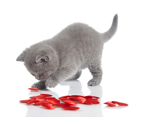 Image showing kitten and decorative hearts