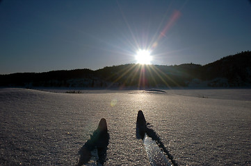 Image showing Skiing