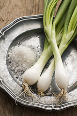 Image showing Spring onions