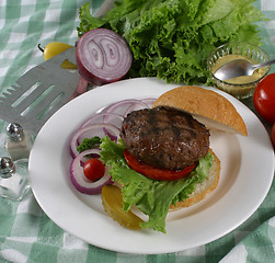 Image showing elk burger