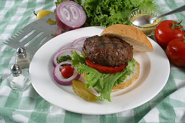 Image showing elk burger