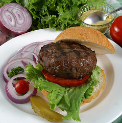 Image showing elk burger