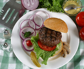 Image showing elk burger