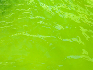 Image showing Green water