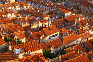 Image showing Roofs