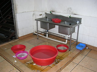 Image showing Dish Wash