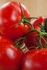 Image showing Tomatoes