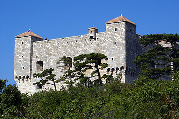 Image showing Castle