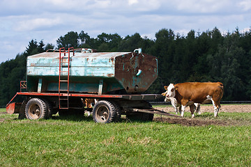 Image showing Dairy cows and water tank