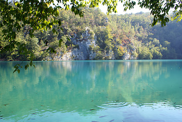 Image showing Trees and lake with fish