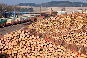 Image showing Pile of wood