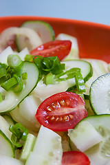 Image showing Vegetable salad