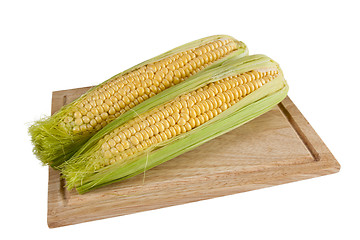 Image showing Ear of Corn