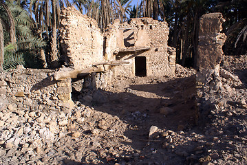 Image showing Palm trees and ruins