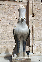 Image showing Horus