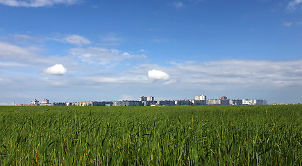 Image showing town behind wheat field