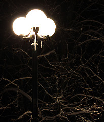 Image showing winter night
