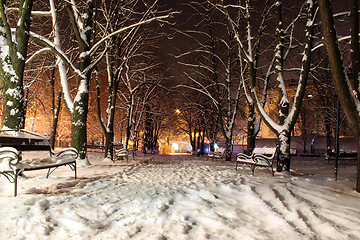 Image showing park at winter night