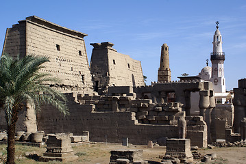 Image showing Palm tree and Luxor temple