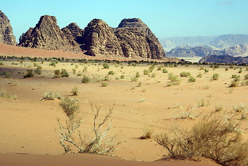 Image showing Wadi Rum