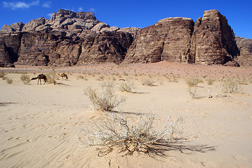 Image showing Wadi Rum