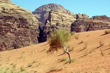 Image showing Red sand