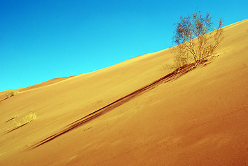 Image showing Wadi Rum