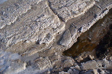 Image showing Dead sea