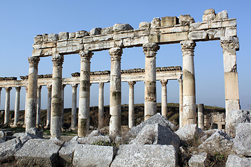 Image showing Columns