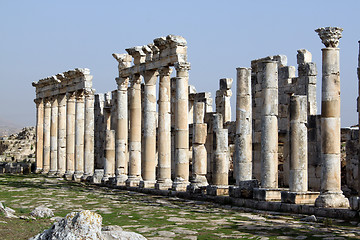 Image showing Grass and columns