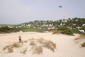 Image showing kite flying