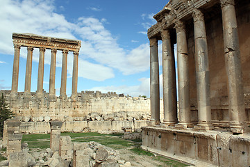 Image showing Columns