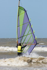 Image showing wind surfer