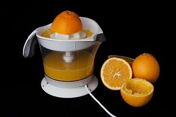 Image showing Citrus Juicer and oranges