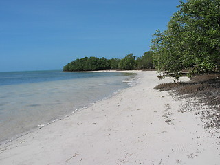 Image showing Florida Keys Beach