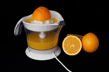 Image showing Citrus Juicer and oranges