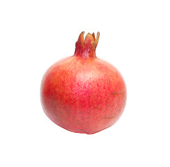 Image showing Pomegranate.
