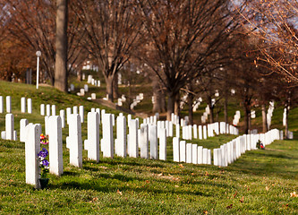 Image showing Xmas wreaths in Arlington Cemetery