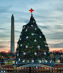 Image showing National Christmas tree in DC