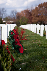 Image showing Xmas wreaths in Arlington Cemetery