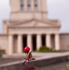 Image showing George Washington National Masonic Memorial