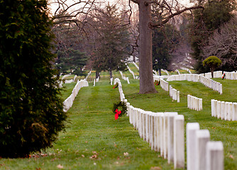 Image showing Xmas wreaths in Arlington Cemetery