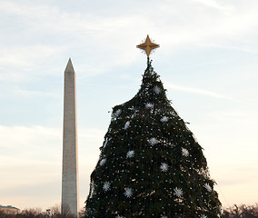 Image showing National Christmas tree in DC