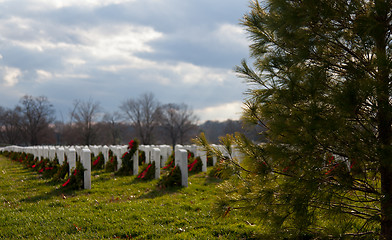 Image showing Xmas wreaths in Arlington Cemetery