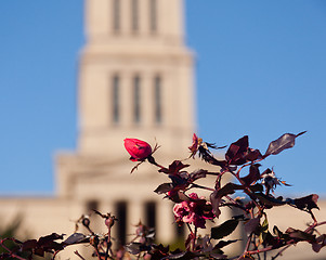 Image showing George Washington National Masonic Memorial