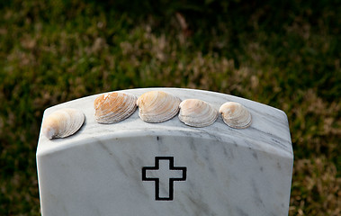 Image showing Sea shells in Arlington Cemetery