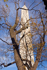 Image showing View of Washington Monument