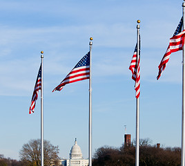 Image showing Washington Capitol