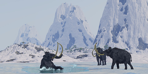 Image showing Woolly Mammoth